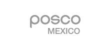 POSCO MEXICO